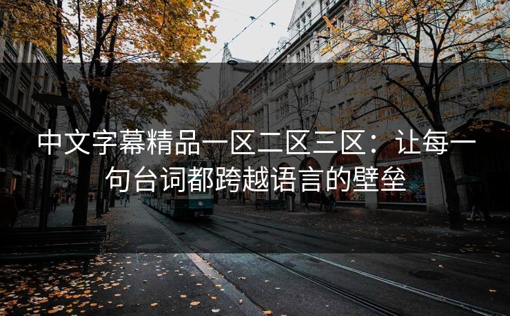 中文字幕精品一区二区三区：让每一句台词都跨越语言的壁垒